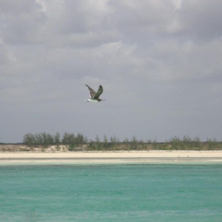 Chiky Villa Watamu Εξωτερικό φωτογραφία