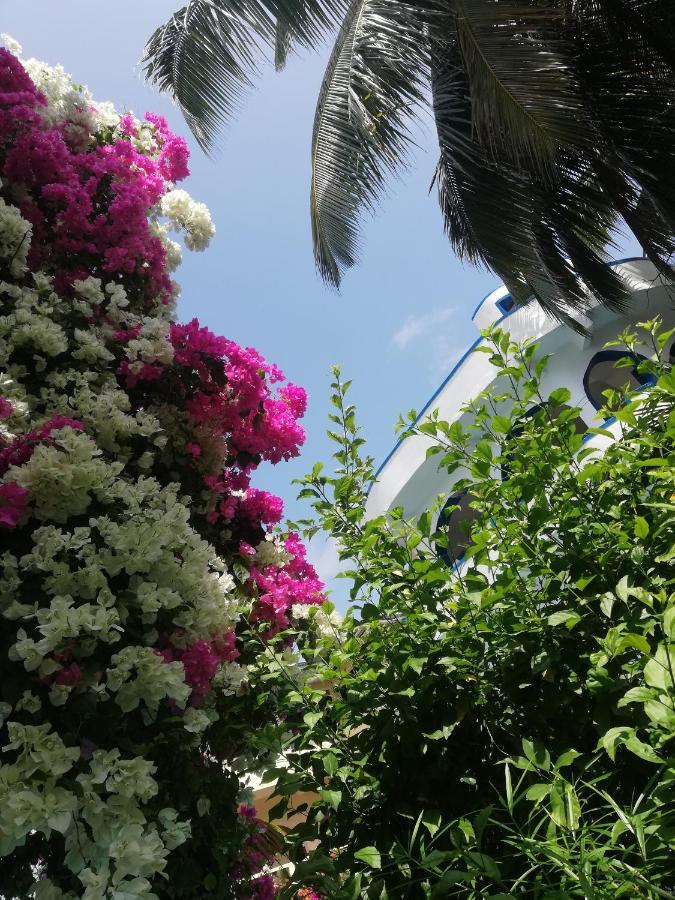 Chiky Villa Watamu Εξωτερικό φωτογραφία