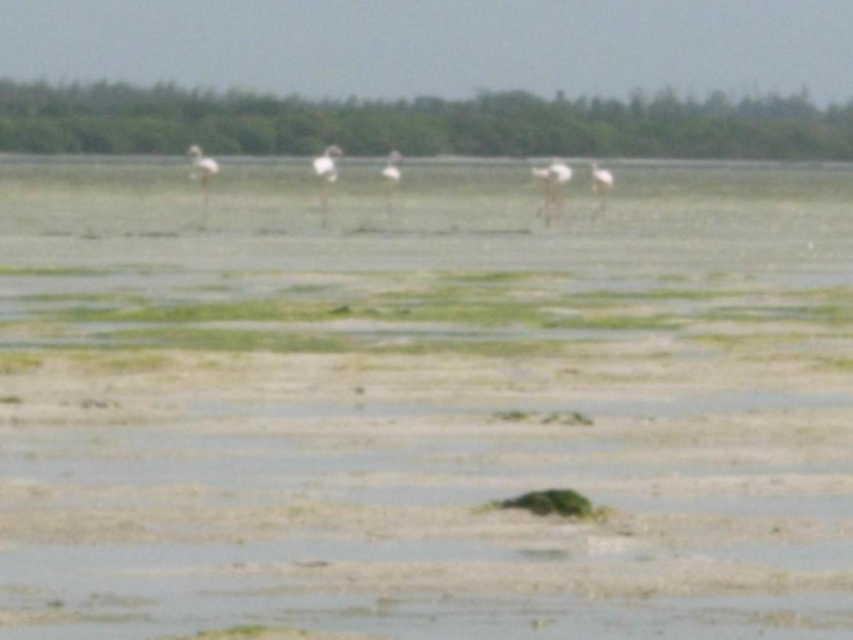 Chiky Villa Watamu Εξωτερικό φωτογραφία
